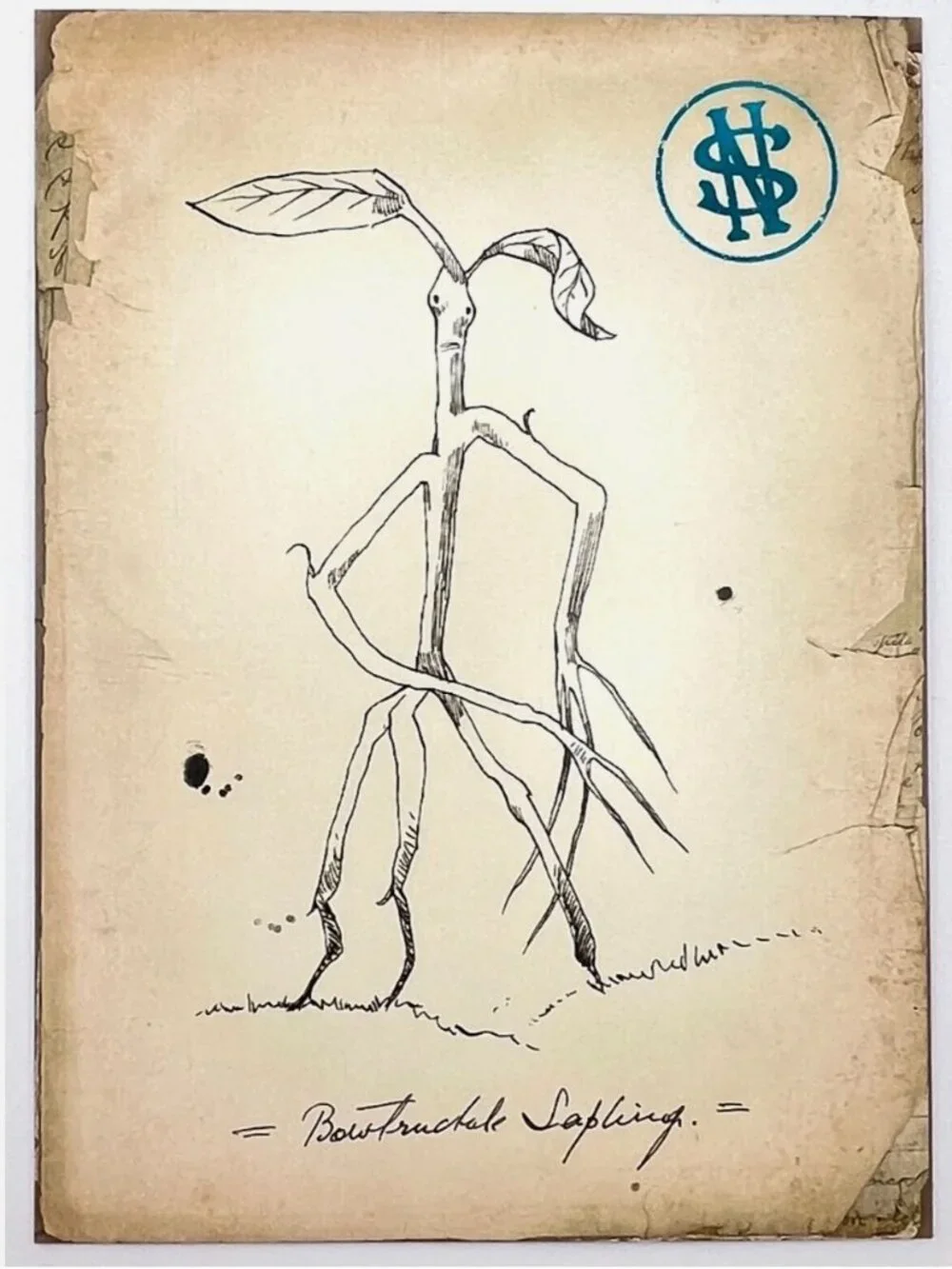 MinaLima Mystery Postcard Harry Potter Fantastic Beasts Bowtruckle Sapling